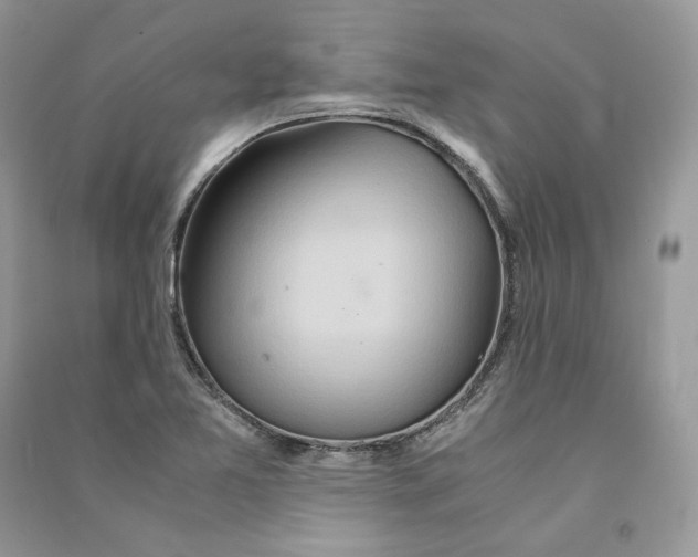 X0000090601365200708141322