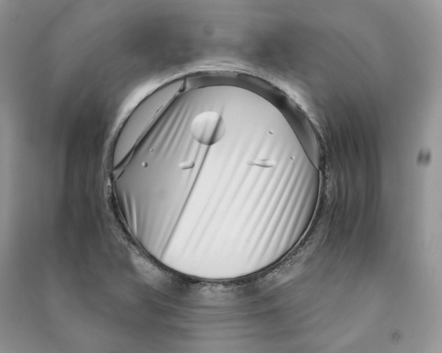 X0000090601366200708141322