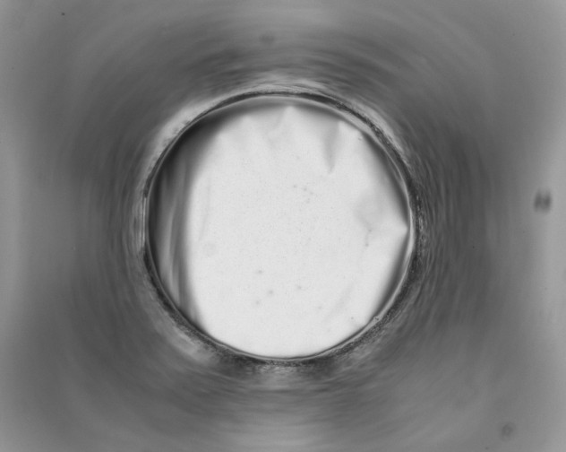 X0000090601371200708141322