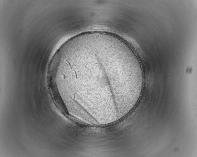 X0000090601374200708141322