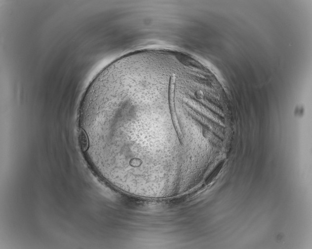 X0000090601375200708141322