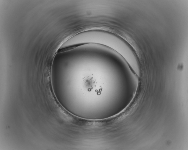 X0000090601377200708141322