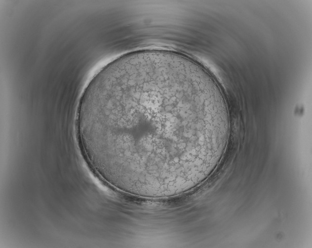 X0000090601379200708141322