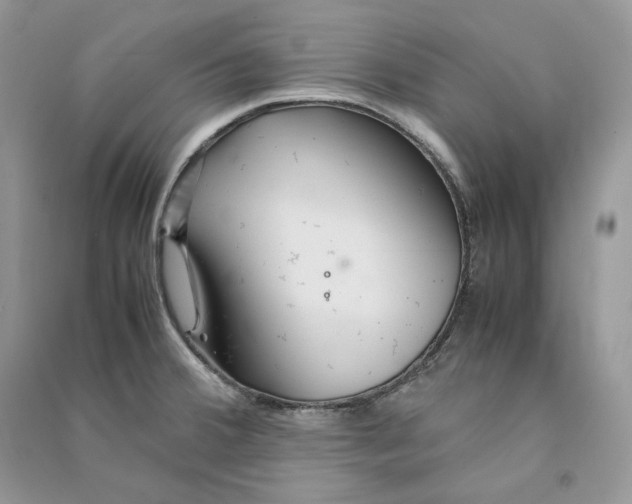 X0000090601380200708141321