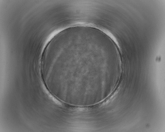 X0000090601381200708141321