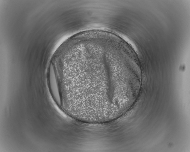 X0000090601383200708141321