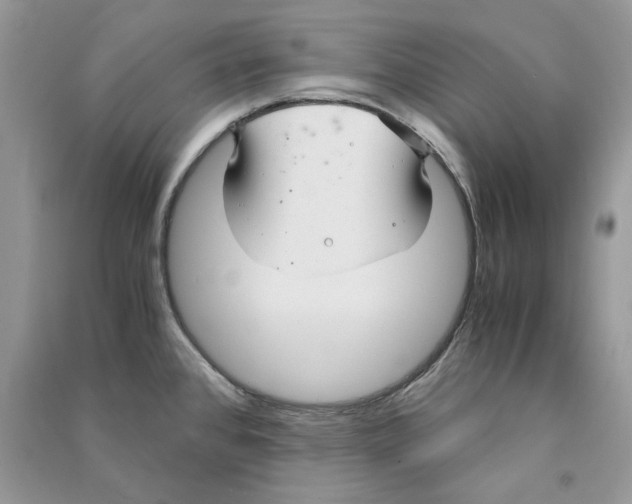 X0000090601384200708141321