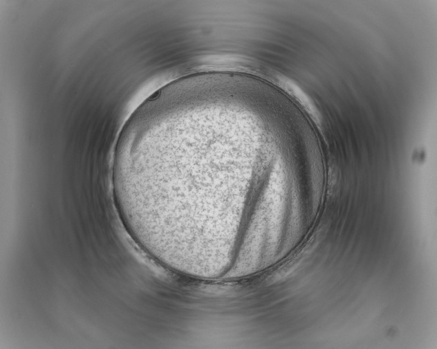 X0000090601386200708141321