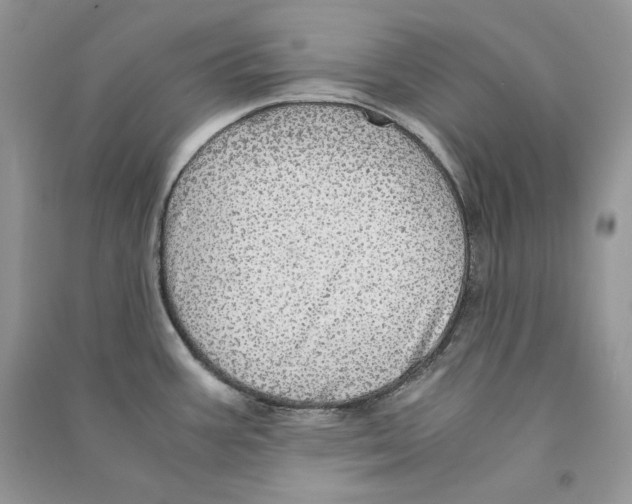 X0000090601387200708141321