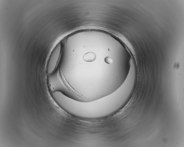 X0000090601388200708141321