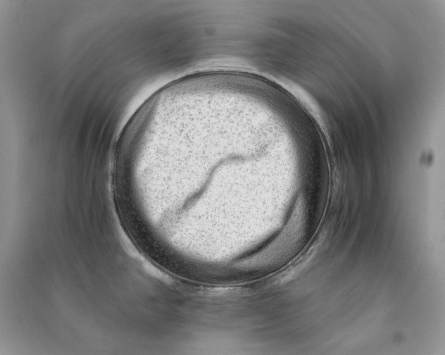 X0000090601390200708141321