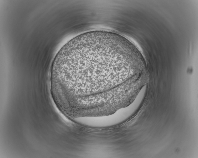 X0000090601391200708141321