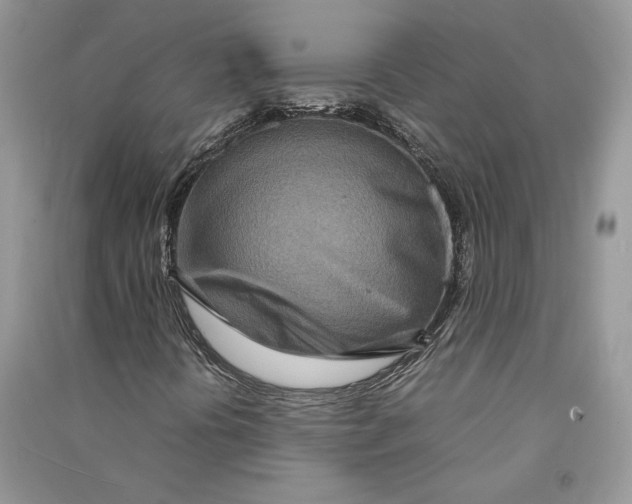 X0000090601394200708141321