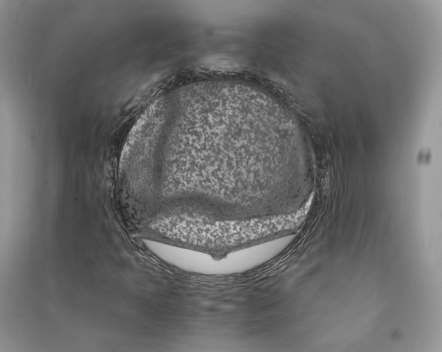 X0000090601397200708141321