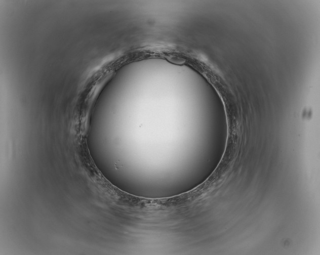 X0000090601398200708141321