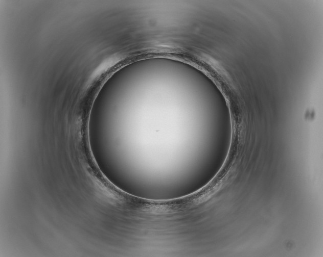 X0000090601402200708141321