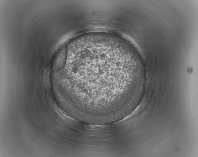 X0000090601403200708141321