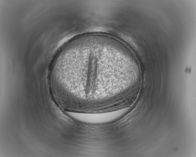 X0000090601404200708141321