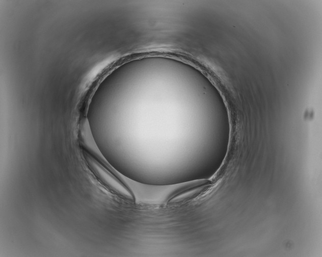 X0000090601406200708141321