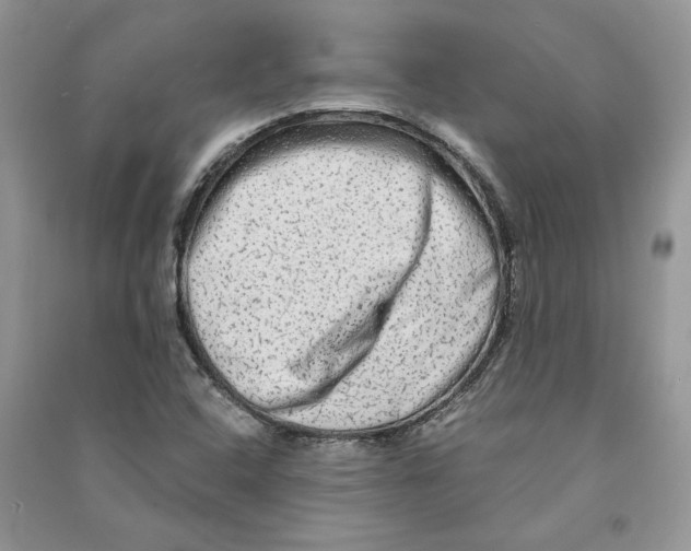 X0000090601408200708141321