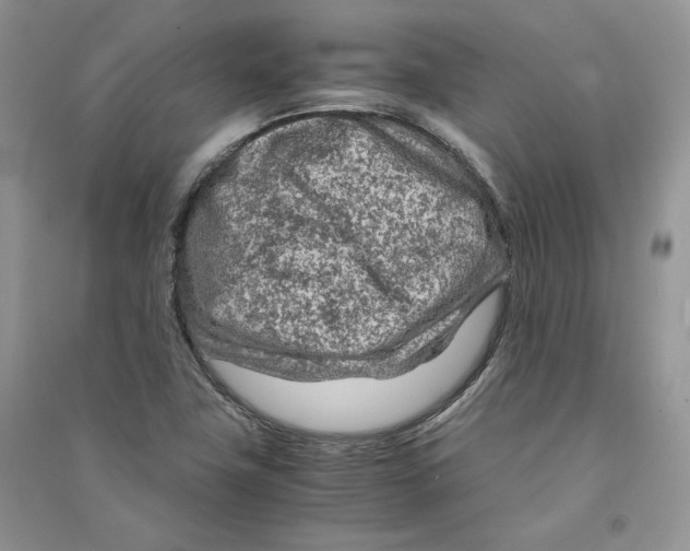 X0000090601411200708141321