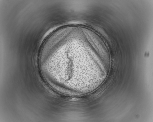 X0000090601412200708141321