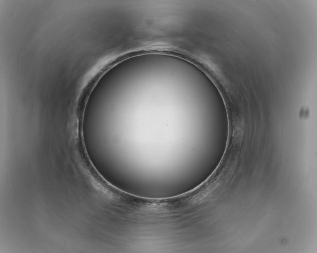 X0000090601414200708141321