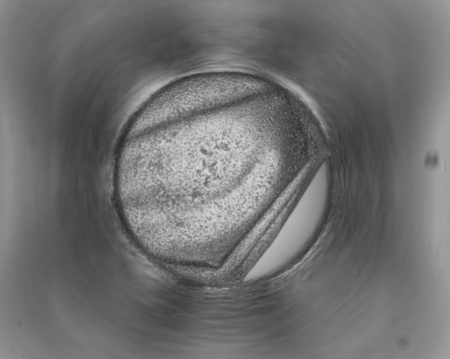 X0000090601415200708141321