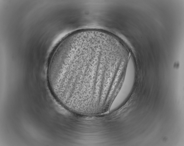 X0000090601416200708141321