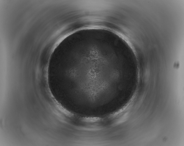 X0000090601417200708141321