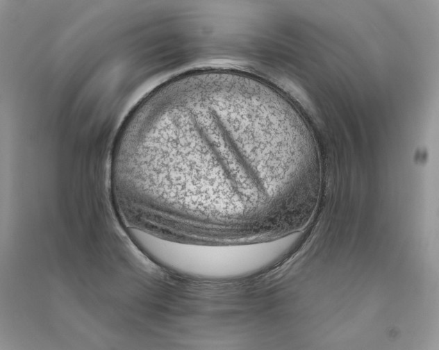 X0000090601420200708141321