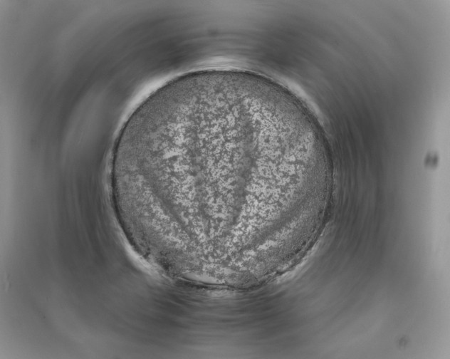 X0000090601421200708141321