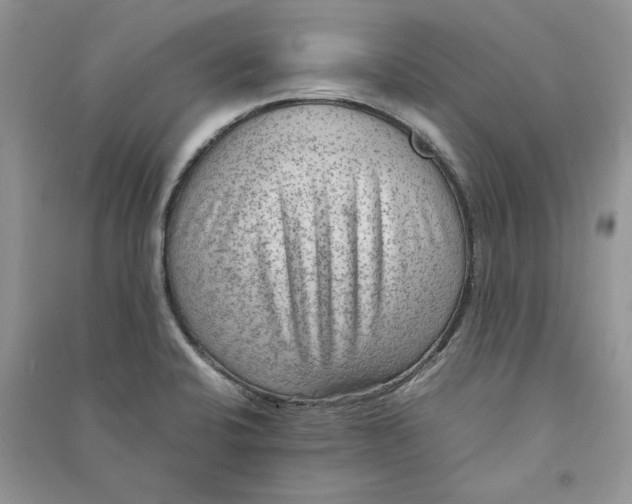 X0000090601424200708141321