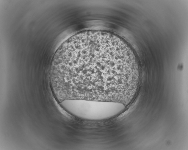 X0000090601425200708141321