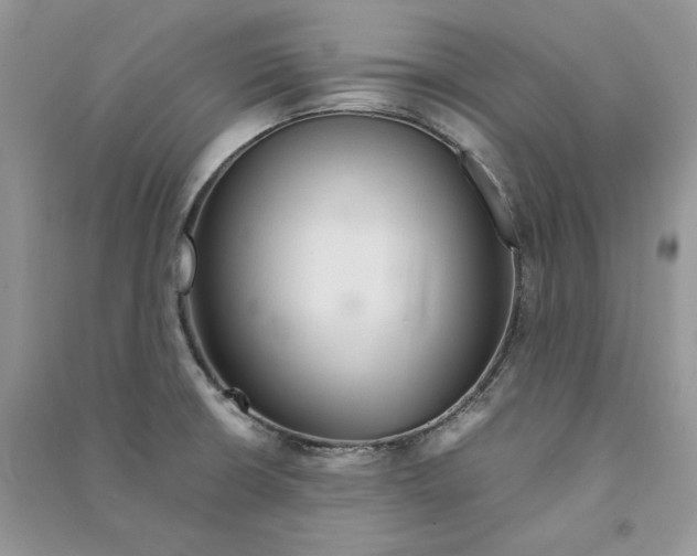 X0000090601426200708141321