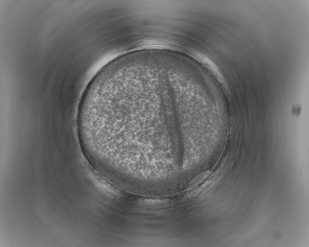 X0000090601427200708141321