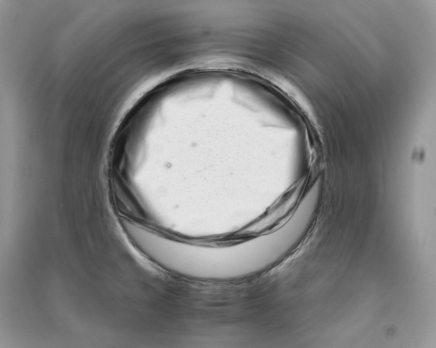 X0000090601429200708141321