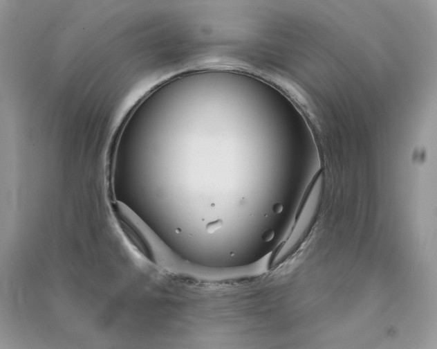 X0000090601430200708141321