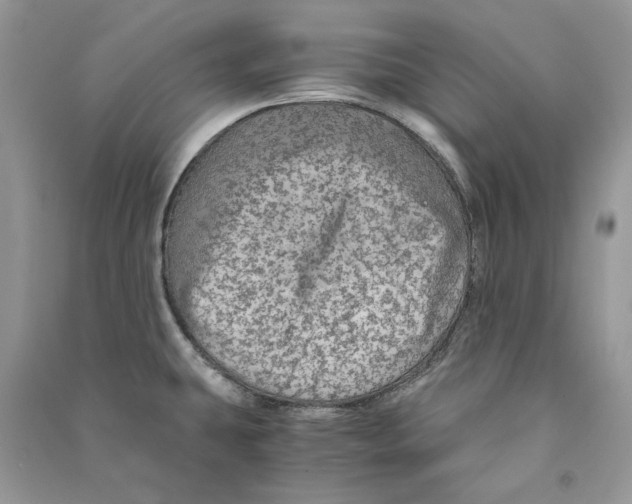 X0000090601431200708141321