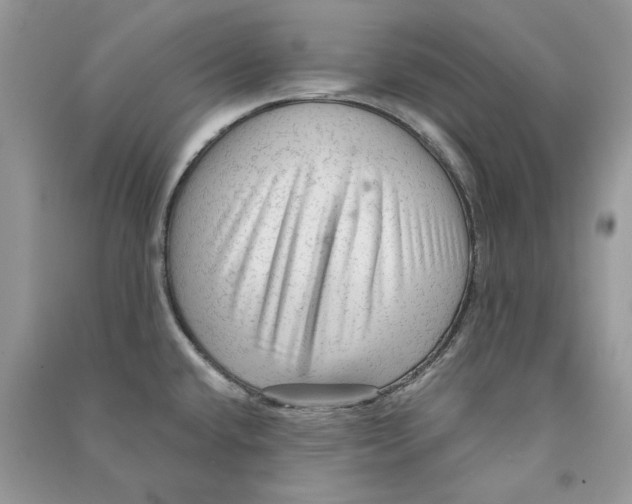 X0000090601432200708141321