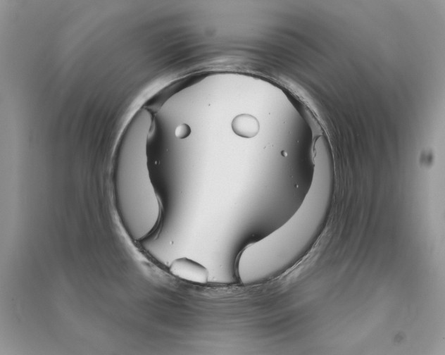 X0000090601434200708141321