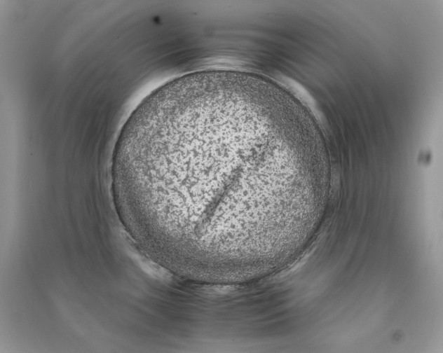 X0000090601435200708141321