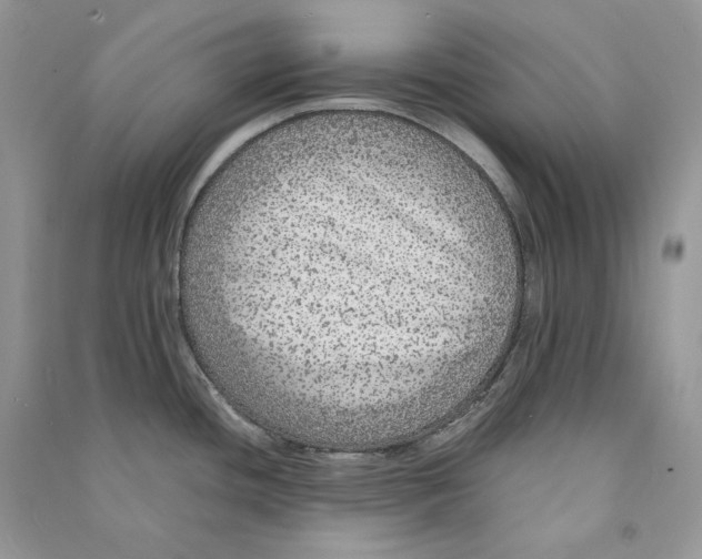 X0000090601436200708141321