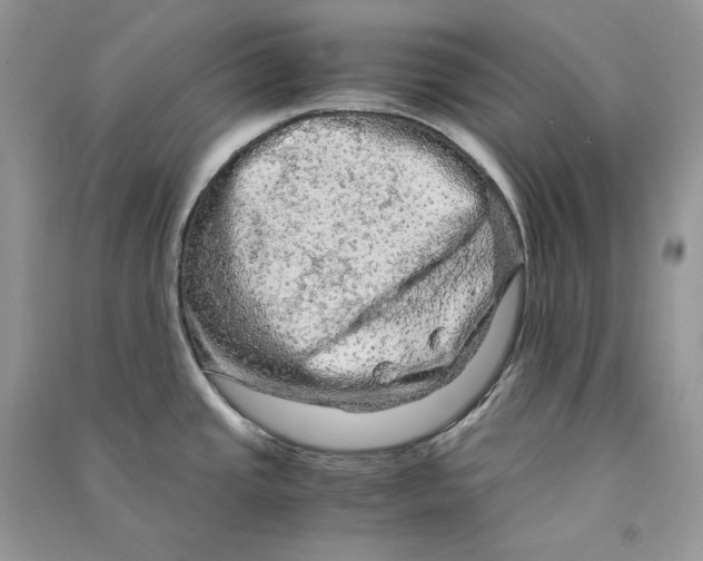 X0000090601437200708141321