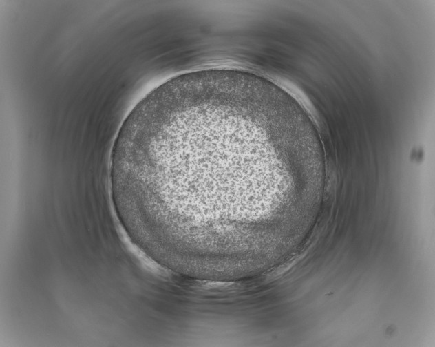 X0000090601439200708141321