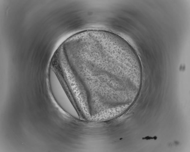 X0000090601440200708141321