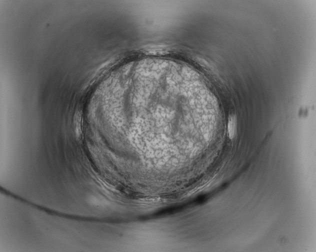 X0000090601444200708141321