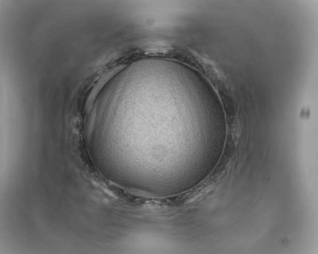 X0000090601445200708141321