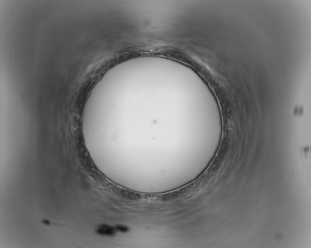 X0000090601447200708141320