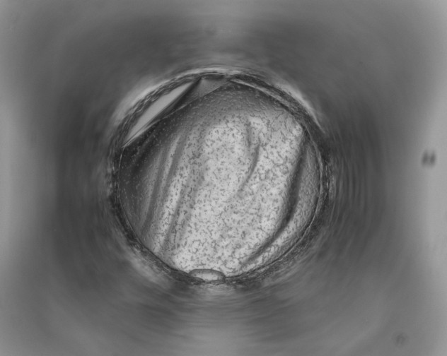 X0000090601448200708141320